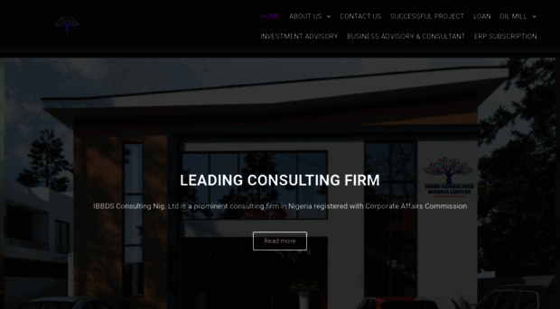 ibbdsconsulting.com