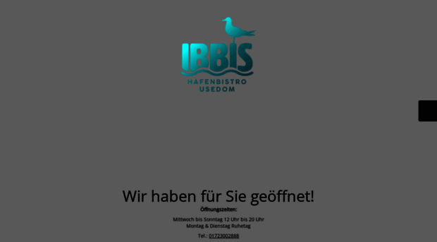 ibbis.de