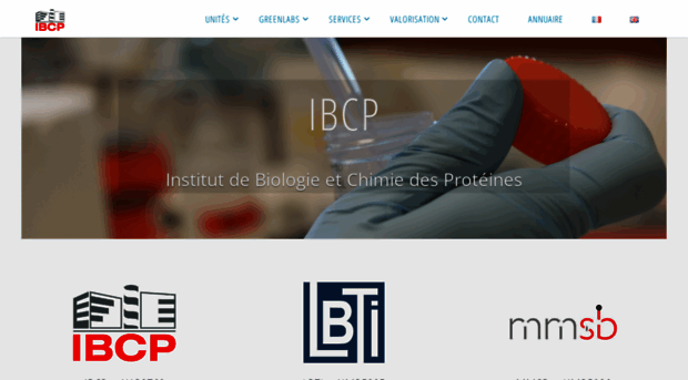 ibcp.fr