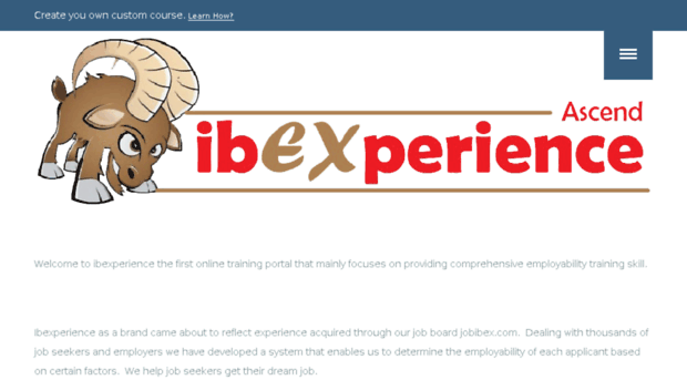 ibexperience.com