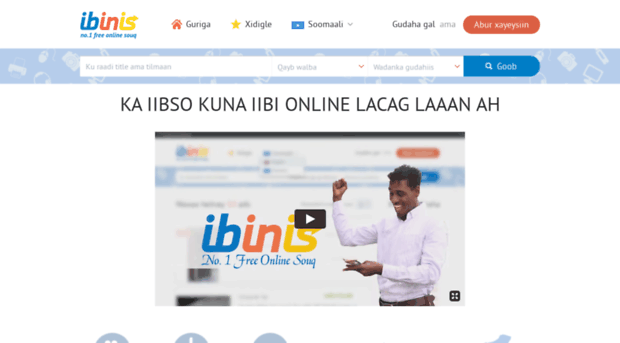 ibinis.com