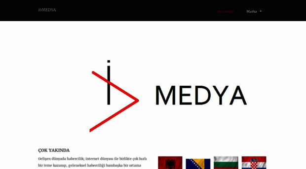 ibmedya.com