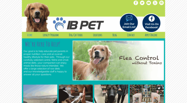 ibpet.net