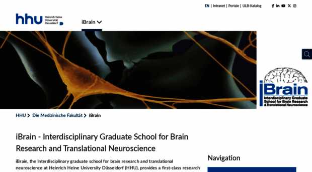 ibrain-duesseldorf.de