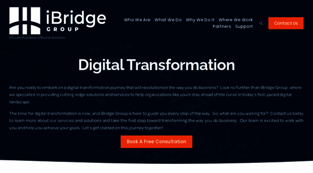 ibridgegroup.com