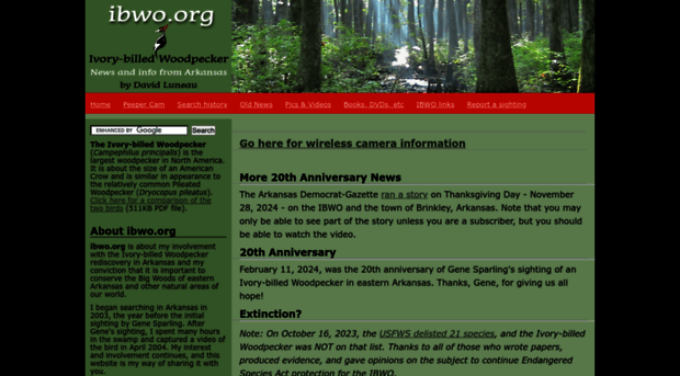 ibwo.org