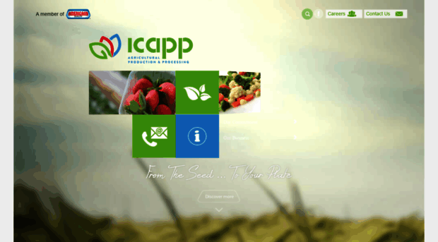 icapp.com.eg