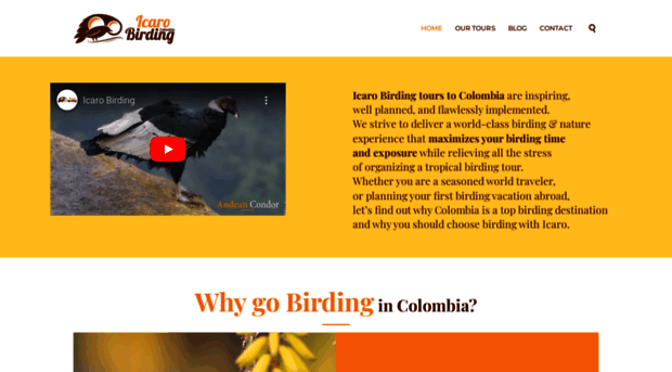 icarobirding.com