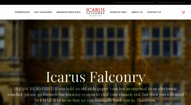 icarusfalconry.co.uk