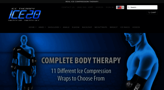 ice20.com