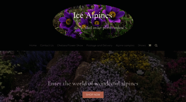 icealpines.co.uk