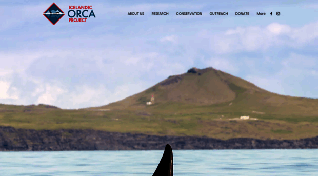 icelandic-orcas.com