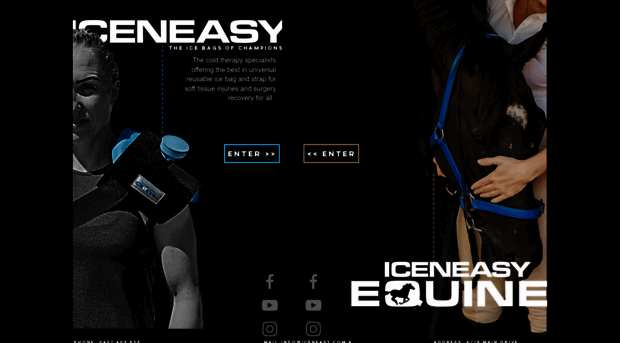 iceneasy.com.au