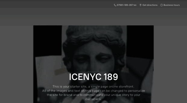 icenyc189.ecwid.com