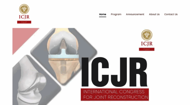 icjr-egypt.com
