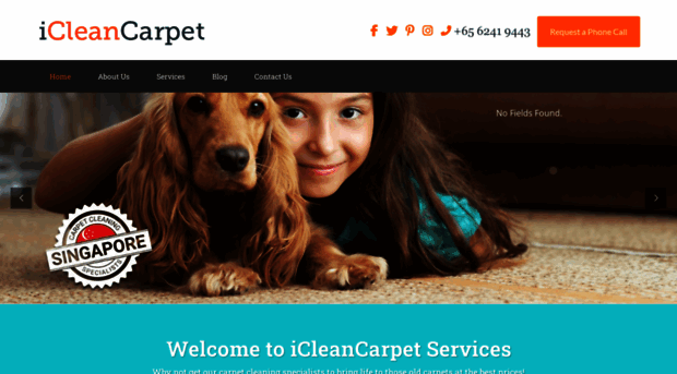 icleancarpet.sg