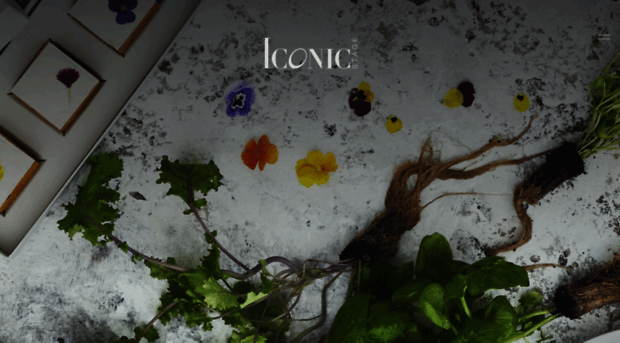 iconic-stage.com