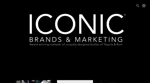 iconicbrandsinc.com