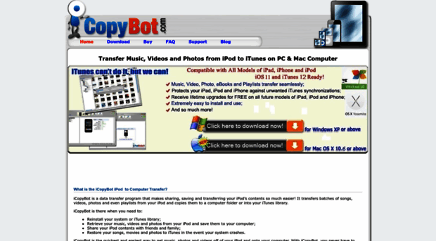 icopybot.com