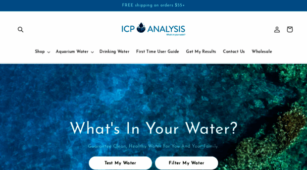 icp-analysis.com