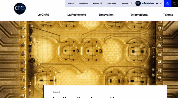 icsn.cnrs-gif.fr