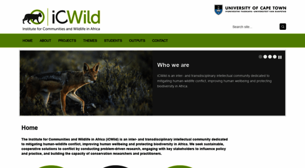 icwild.uct.ac.za