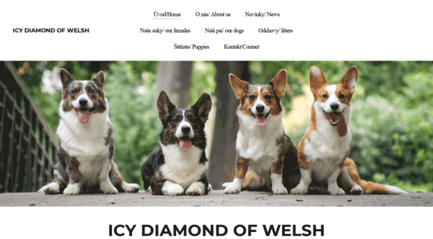 icy-diamond-of-welsh.weebly.com