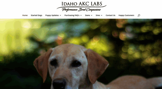 idahoakclabs.com