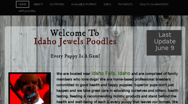 idahojewelspoodles.com