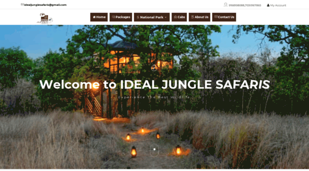 idealjunglesafaris.com