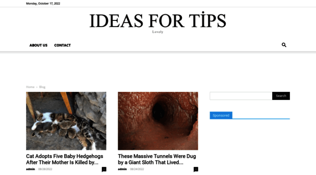 ideasfortips.life