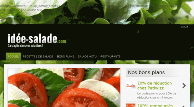 idee-salade.com