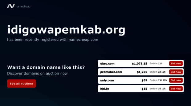 idigowapemkab.org