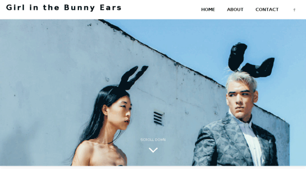 idreamofbunnies.com