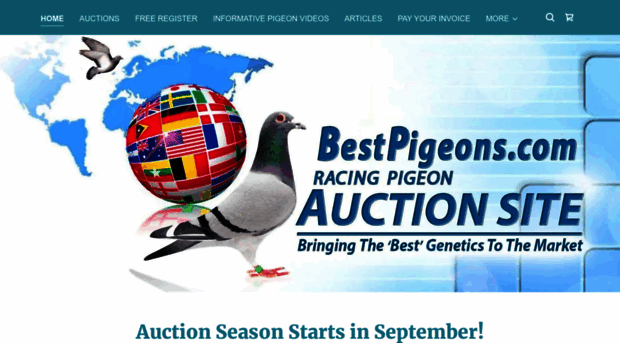 idreampigeons.com