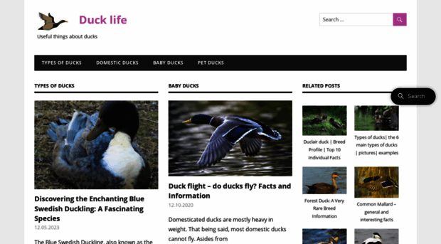 iduckn.com