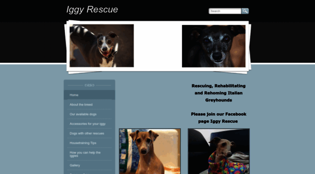 iggyrescue.com.au