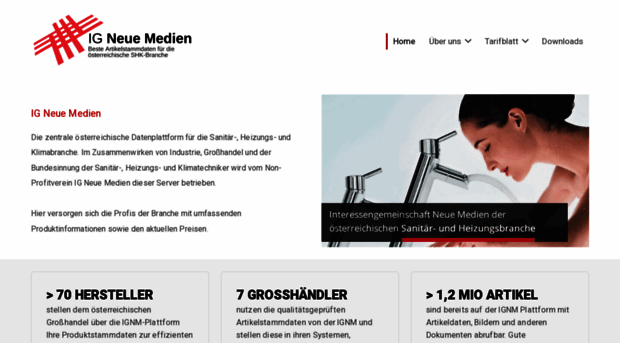 igneuemedien.at