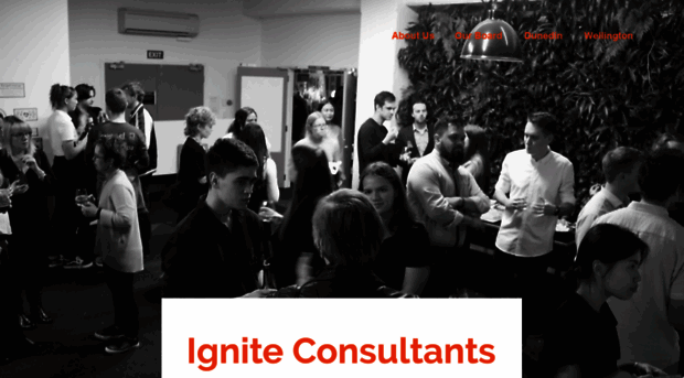 igniteconsultants.co.nz