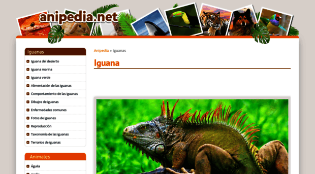 iguanas.anipedia.net