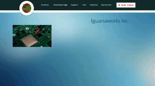 iguanaworks.net