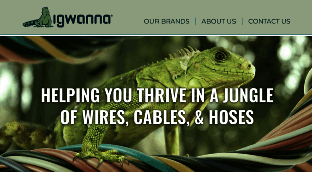 igwanna.com