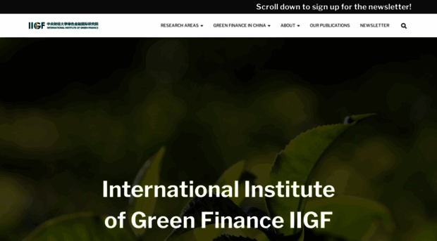 iigf-china.com