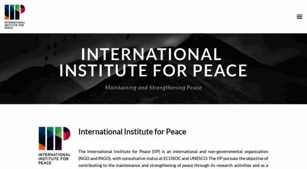 iipvienna.com