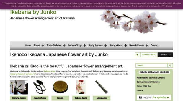 ikebanabyjunko.com