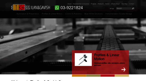 ilan-gavish.com
