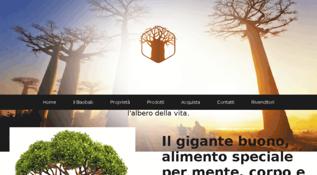 ilbaobab.net