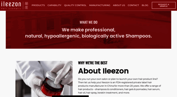 ileezon.com