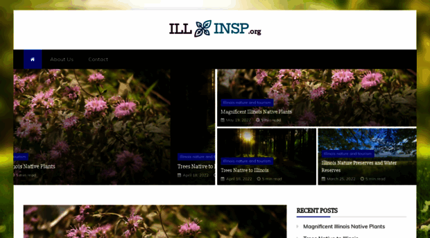 ill-inps.org