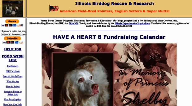 illinoisbirddogrescue.org